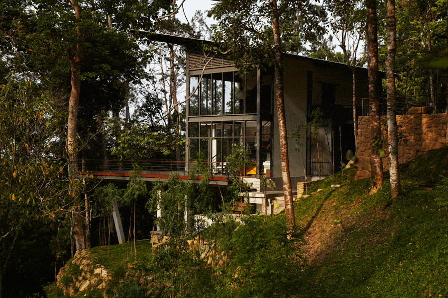 The ‘Deck House’ in the forest