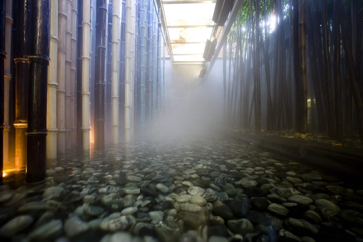 Contemporary landscape design on Sydney harbour