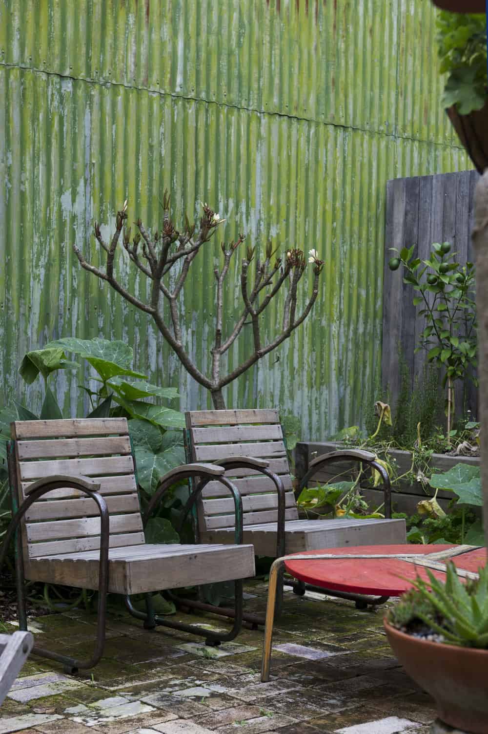 14 marrickvillehouse 2 brigid arnott 1