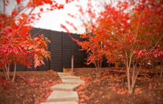 The Wabi house…Japanese architecture in California